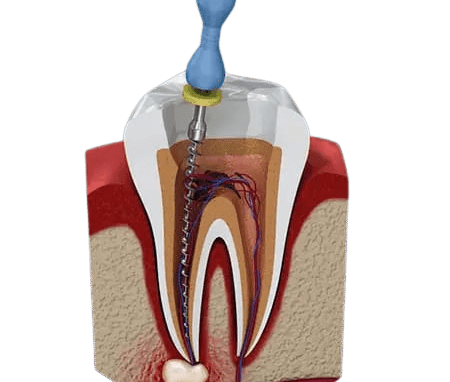 4654a8ce-fd3c-45ac-a195-b5f455797e55